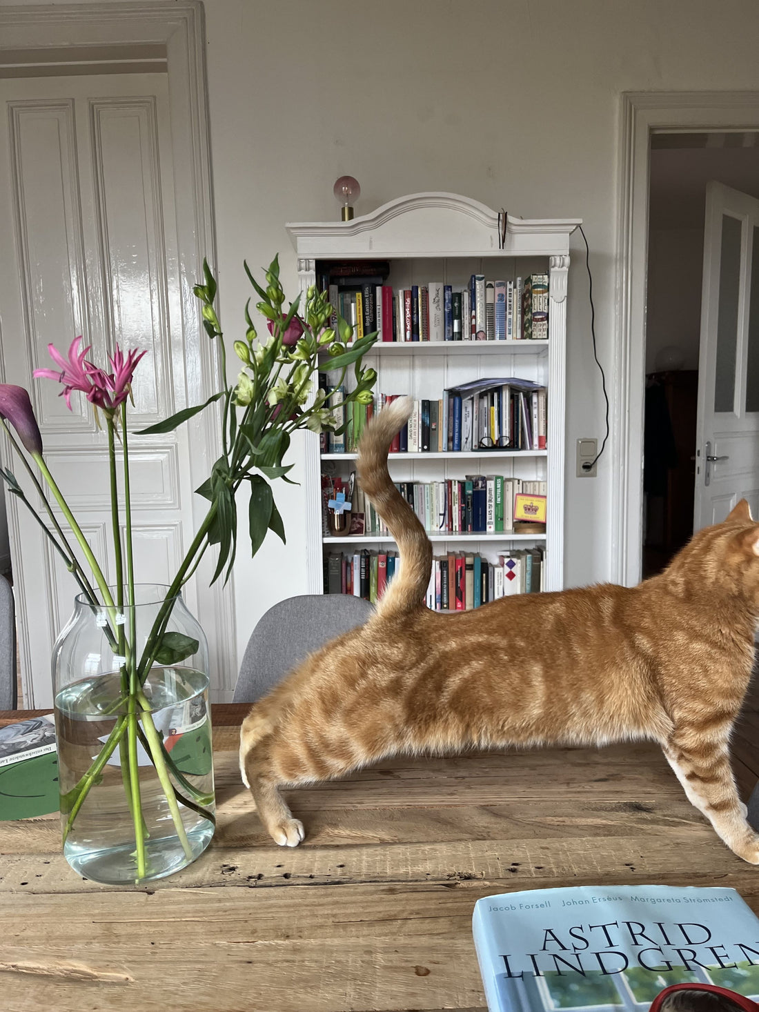Buchbesuch bei Nicole Wellbrock - Über Schönheit, Tod und alte Frauen, die auf Bäume klettern.