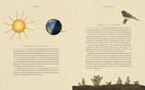 The Wheel of the Year I An Illustrated Guide to Nature's Rhythms