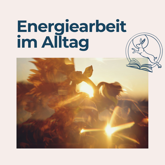 Energiearbeit im Alltag | 20.02.26