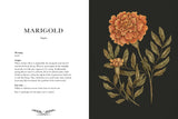 Floriography | An Illustrated Guide to the Victorian Language of Flowers